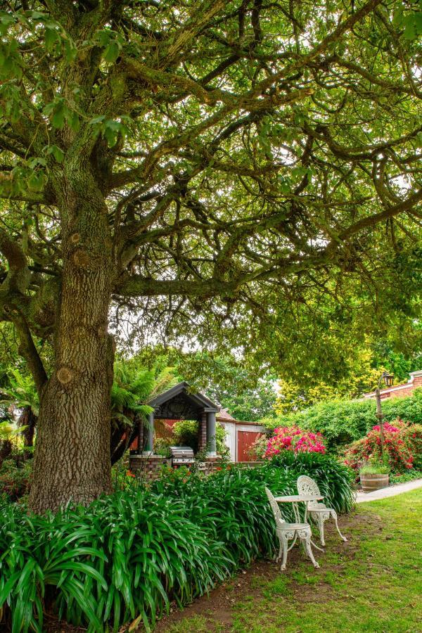 Alexandria Bed And Breakfast ウィンヤード エクステリア 写真