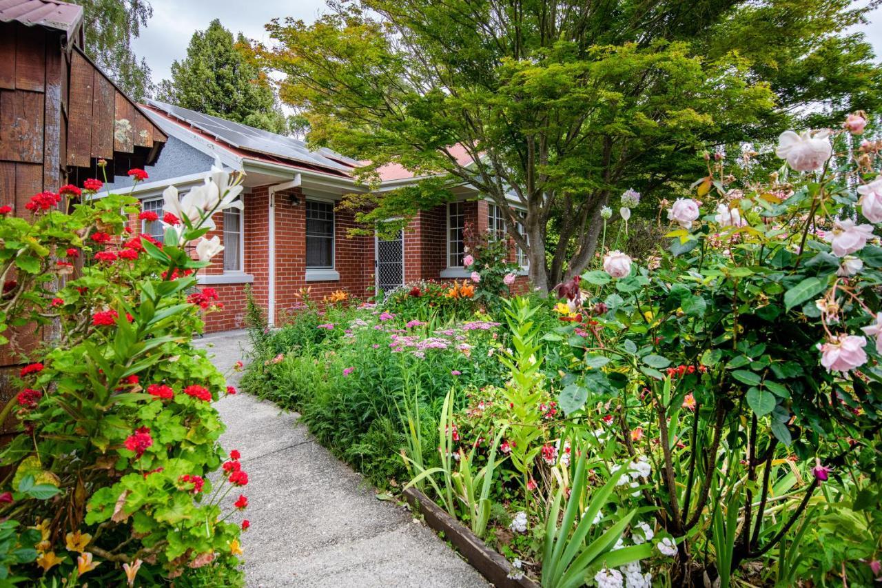Alexandria Bed And Breakfast ウィンヤード エクステリア 写真